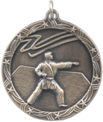 Silver Karate Medal 