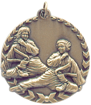 Gold Millenium Martial Arts Medal 