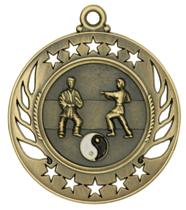 Gold Karate Galaxy Medal 