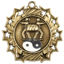 Gold Ten Star Martial Arts Medal