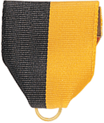 Black and Gold Pin Ribbon Drape