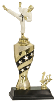 Karate Cup Riser Trophy
