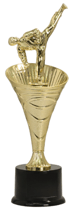 Taekwond Cup Trophy