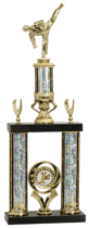 Two-Column Taekwondo Trophy