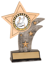 Star Resin Insert Holder Trophy