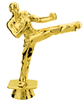 Male Karate Trophy Figure 