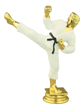 Color Male Karate Trophy Figure 