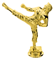 Female Karate Trophy Figure 
