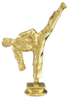 Male Tae Kwon Do Trophy Figure