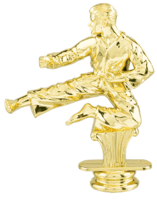 Male Karate Trophy Figure