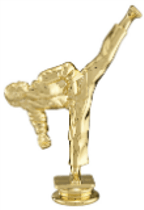 Female Tae Kwon Do Trophy Figure 